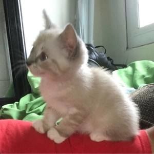 Meet your Posher, Ronald